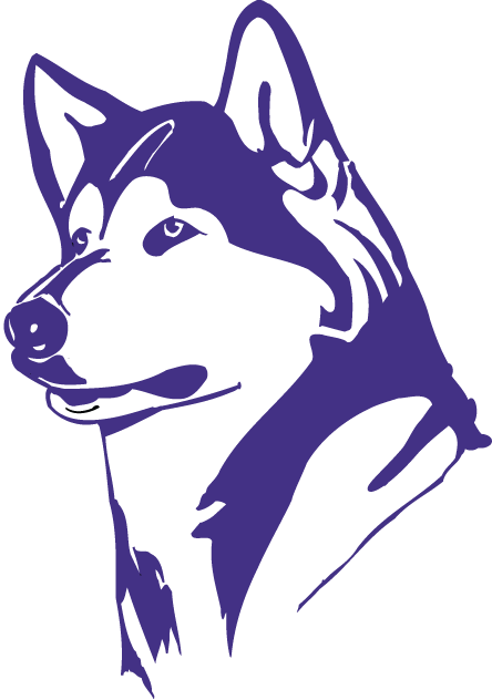 Washington Huskies 1995-2000 Partial Logo v2 iron on transfers for fabric